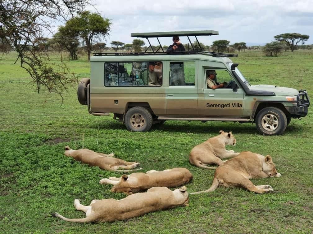 Serengeti Villa 阿鲁沙 外观 照片