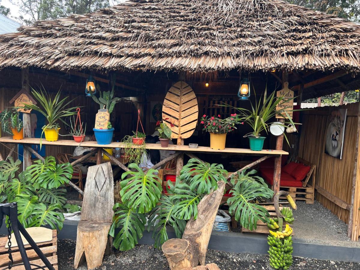 Serengeti Villa 阿鲁沙 外观 照片